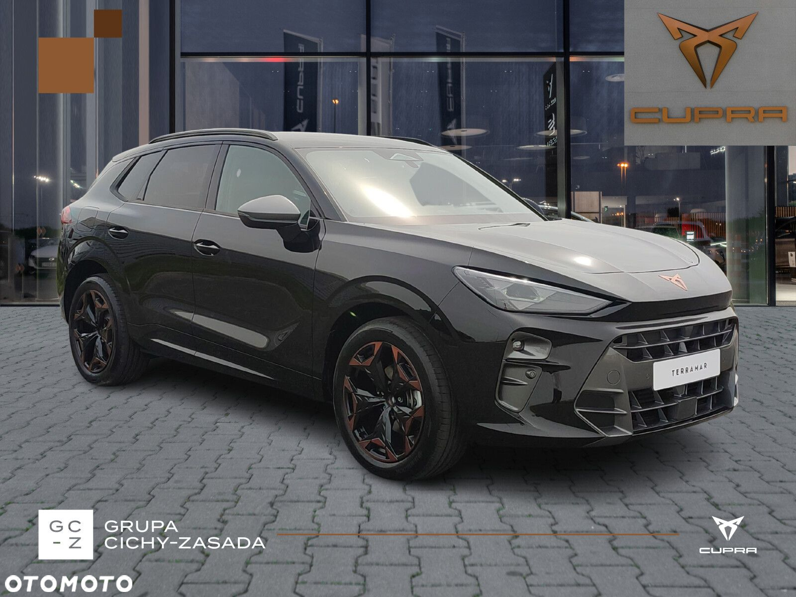 Cupra Terramar - 7