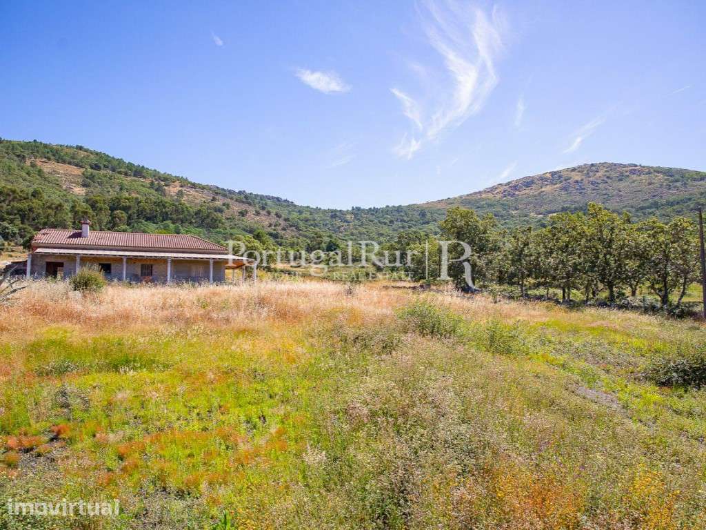 Quinta de 2,1ha com Moradia para Recuperar - Grande imagem: 5/37