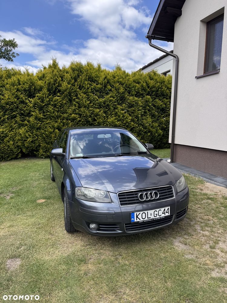 Audi A3 3-drzwiowe 1.9 TDI DPF Ambition - 1