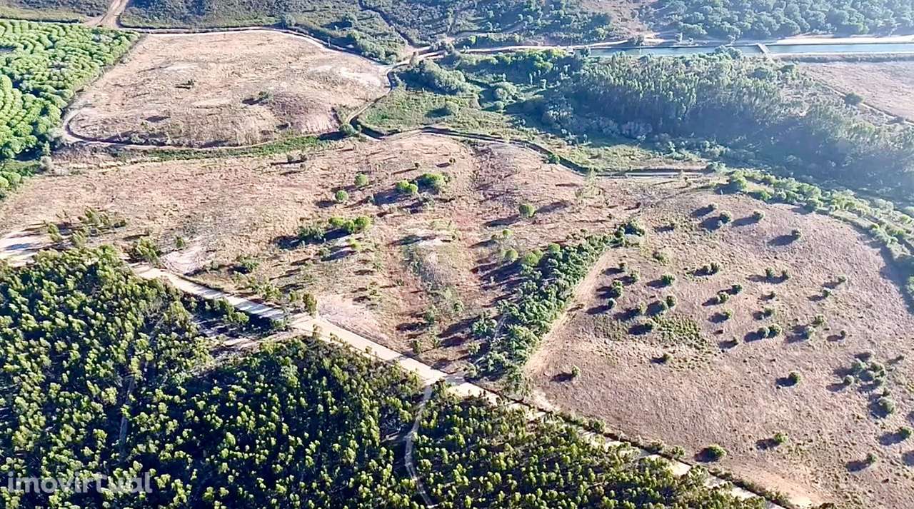 Terreno em São Teotónio com 77.000 m2 e possibilidade de projecto turí - Grande imagem: 2/19