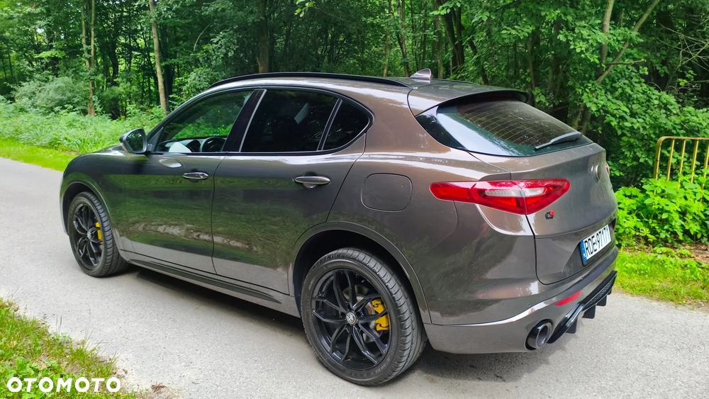 Alfa Romeo Stelvio 2.0 Turbo 16V AT8-Q4 Executive - 12