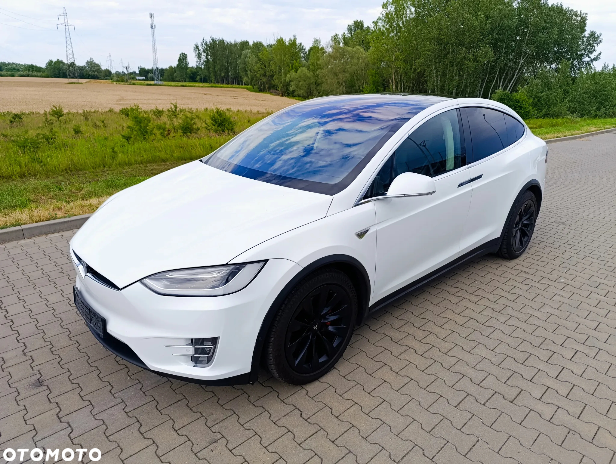 Tesla Model X Performance - 5