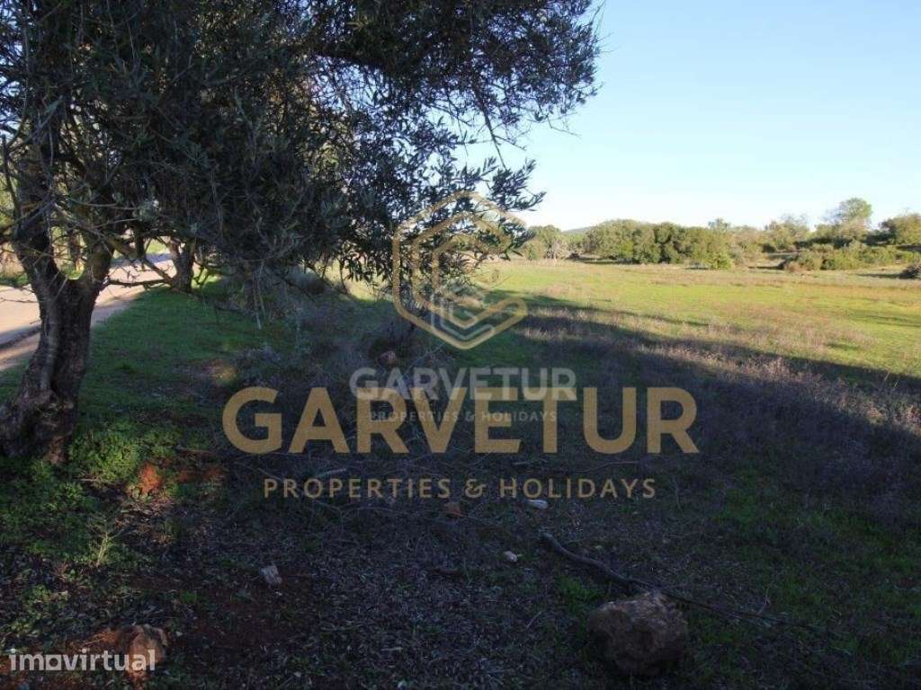 Terreno rústico, em zona agrícola, Curral da Pedra, Paderne, Albufe... - Grande imagem: 5/19
