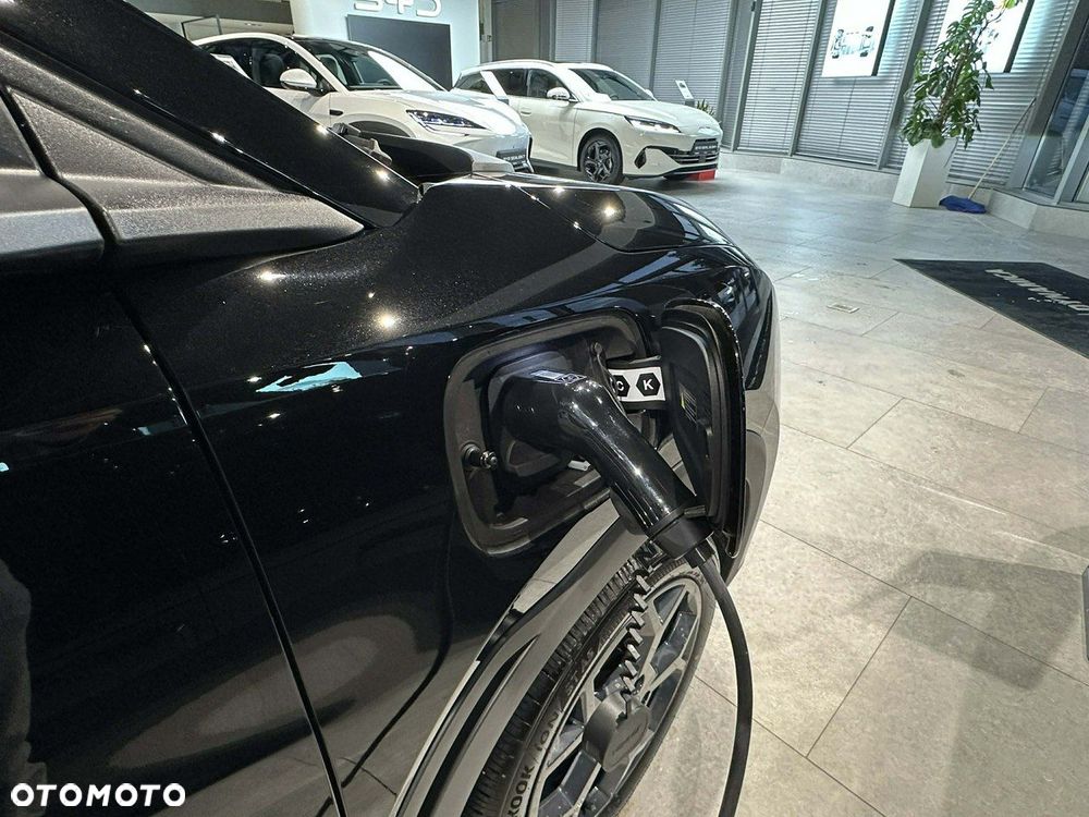 BYD Dolphin Surf - 8