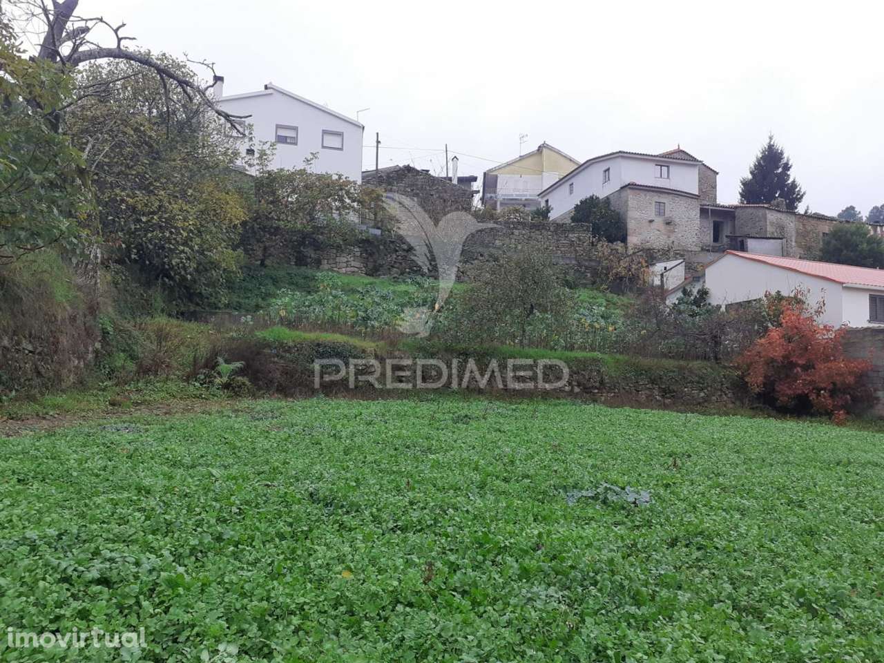 Terreno para Construção - Frechão - Grande imagem: 5/9