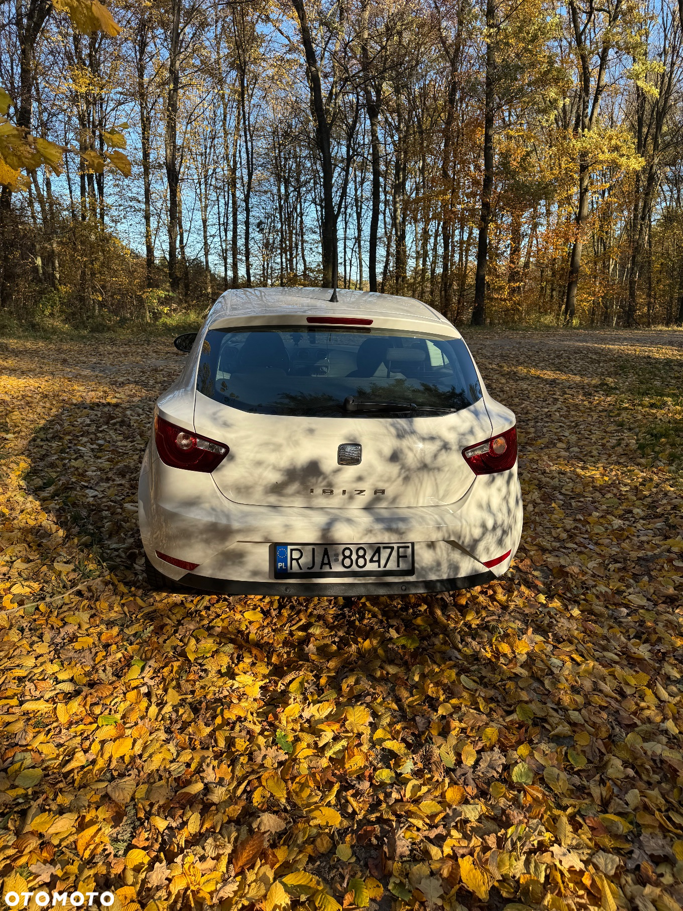 Seat Ibiza - 8