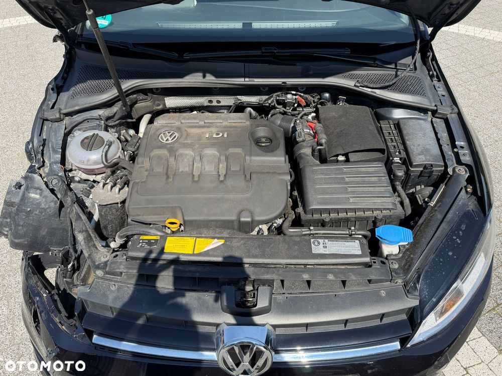 Volkswagen Golf - 16