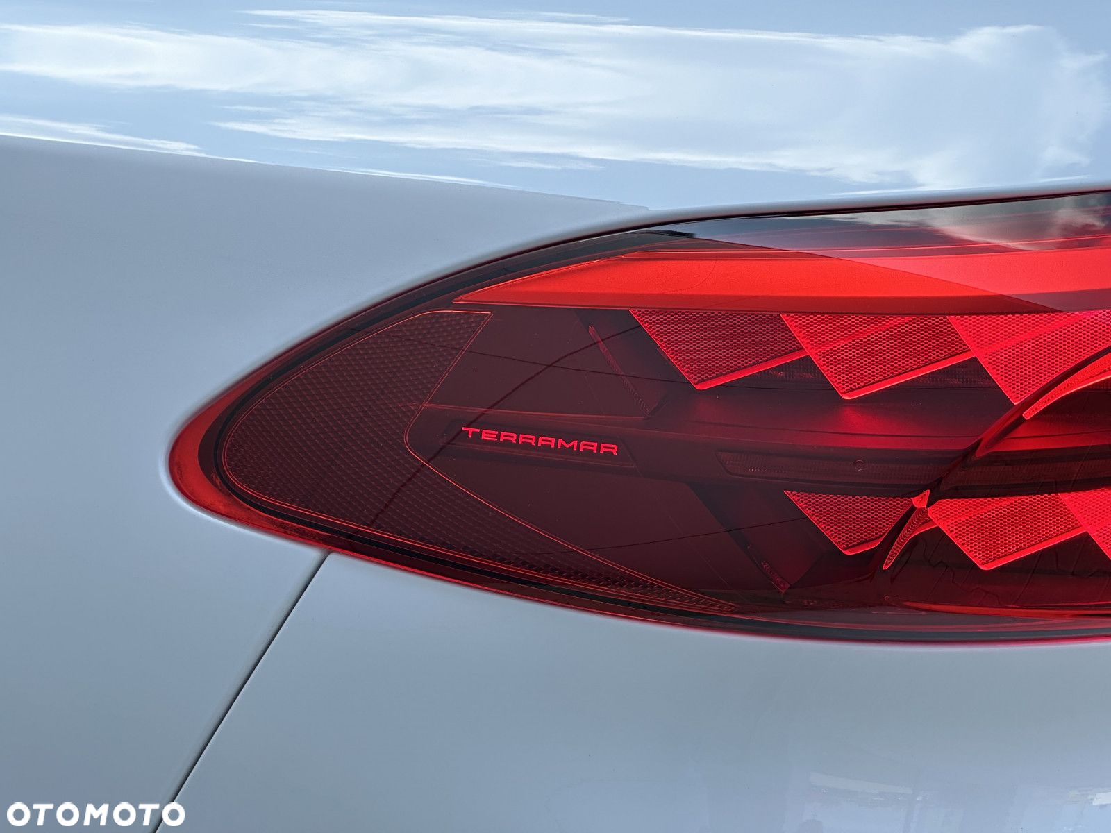 Cupra Terramar - 13