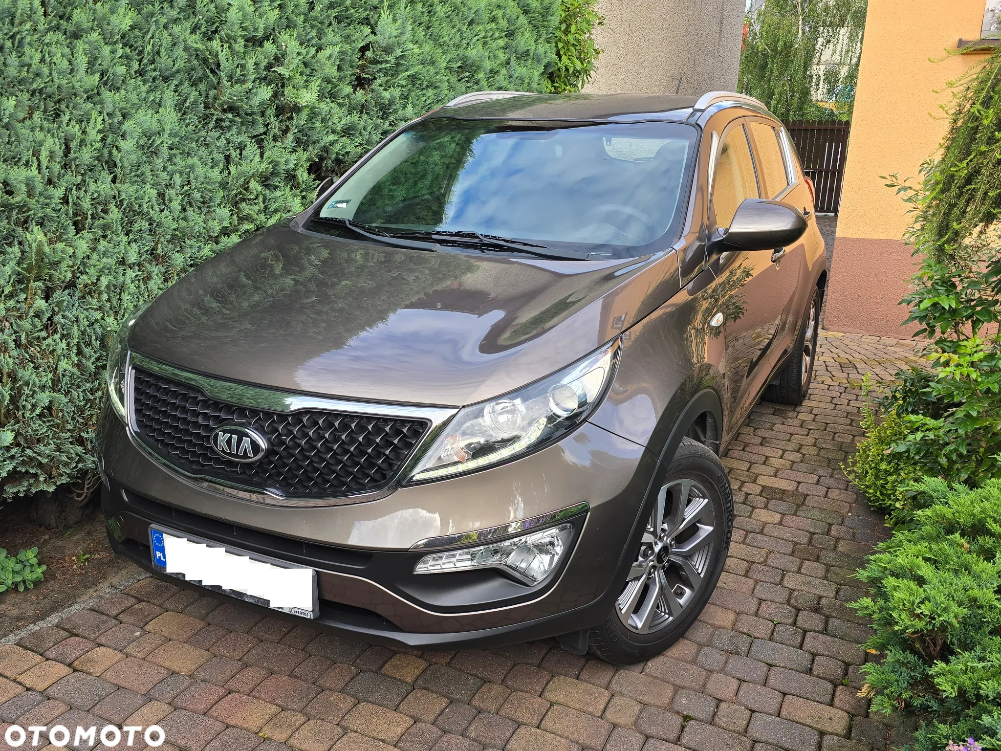 Kia Sportage 1.6 GDI L 2WD - 2