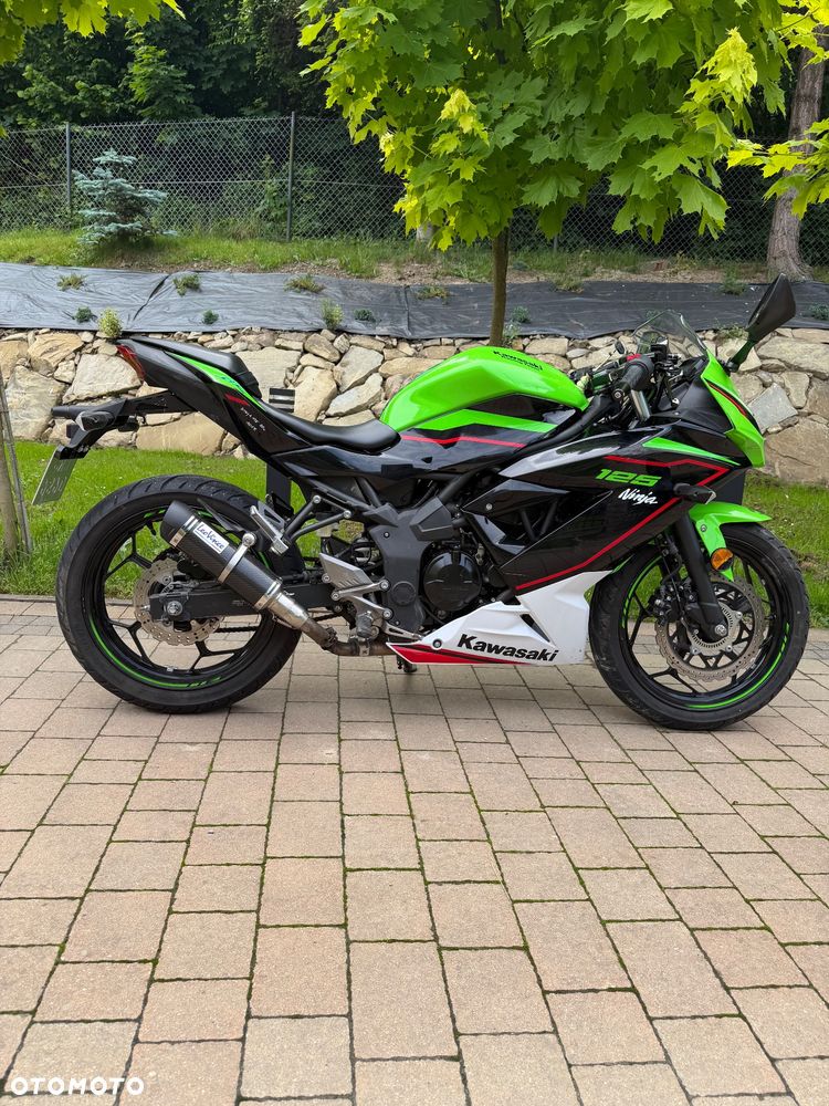Kawasaki Ninja - 6