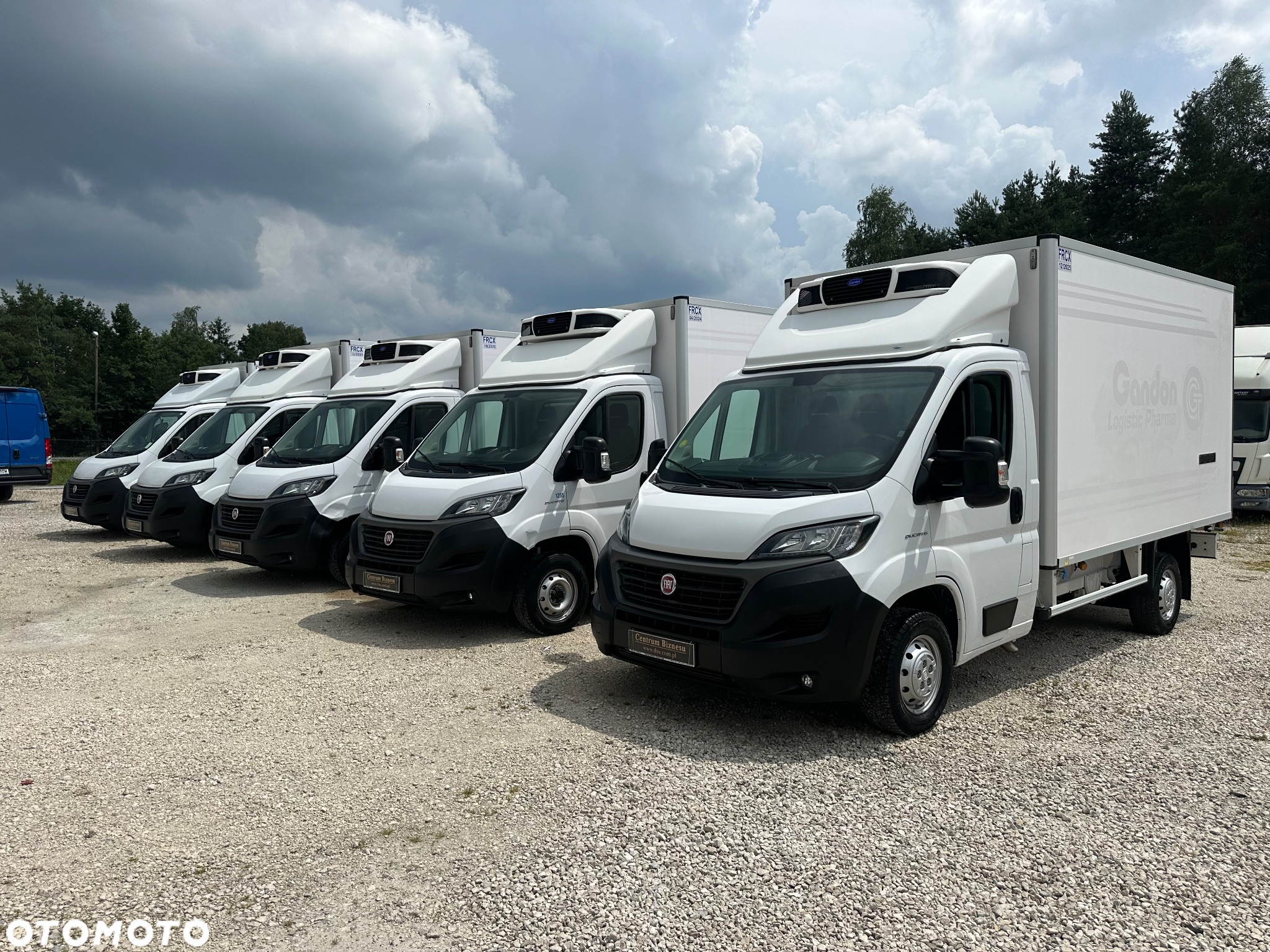 Fiat Ducato Mroźnia -25*C / Nowy Model / perfekcyjny stan - 7