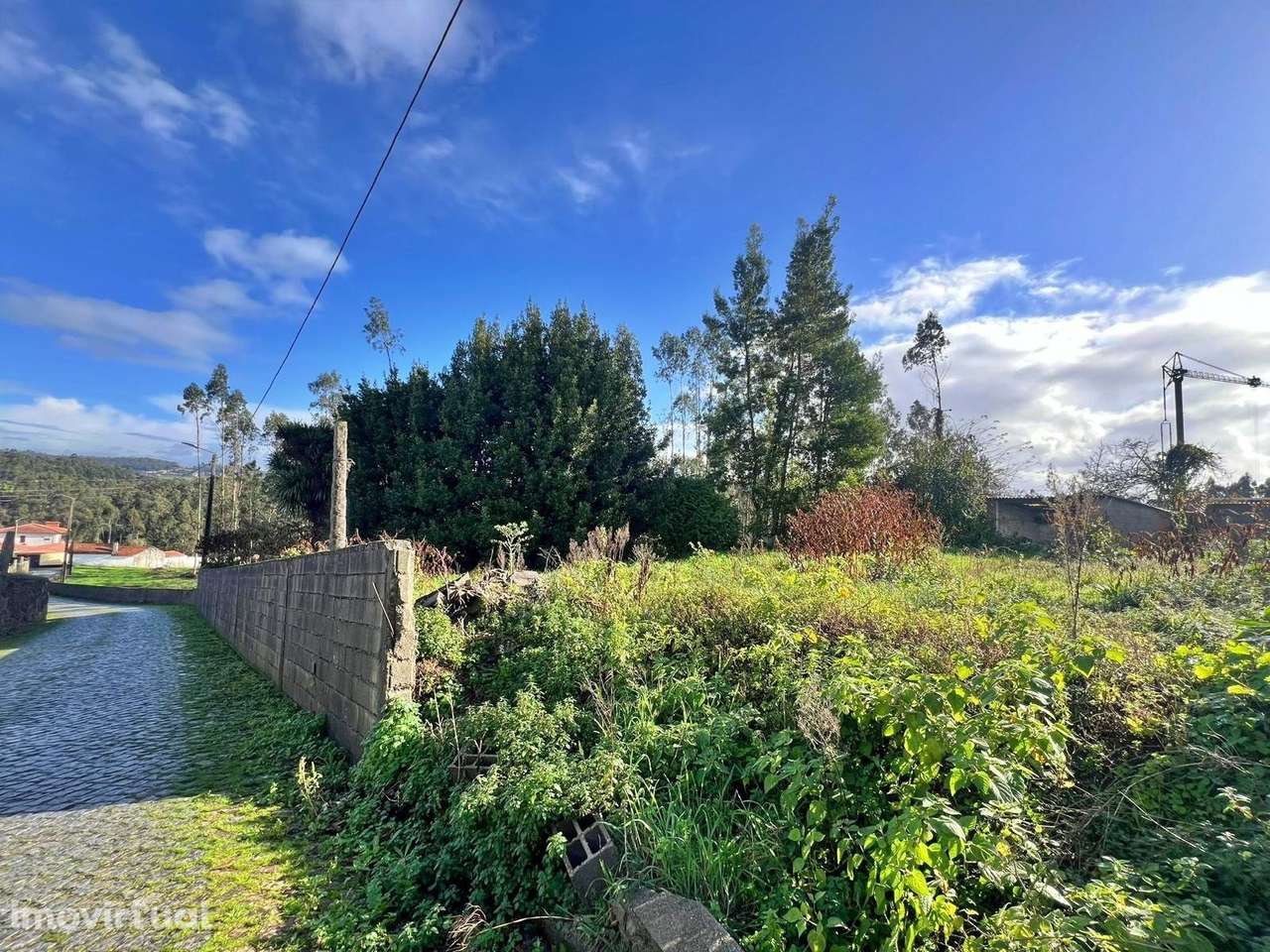 Terreno com Projeto Aprovado para Moradia T3 Térrea em Tougues, Vila d - Grande imagem: 3/12