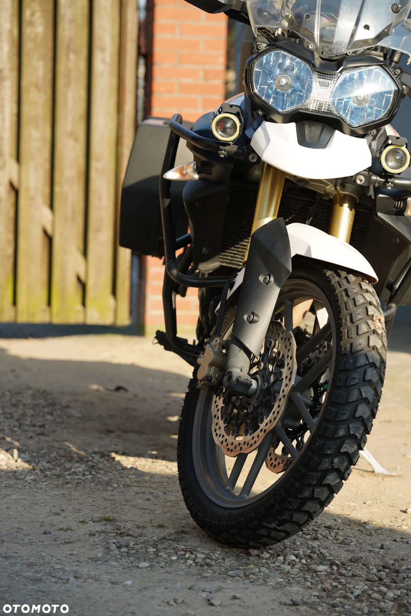 Triumph Tiger - 29