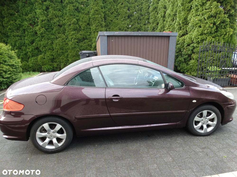 Peugeot 307 - 8