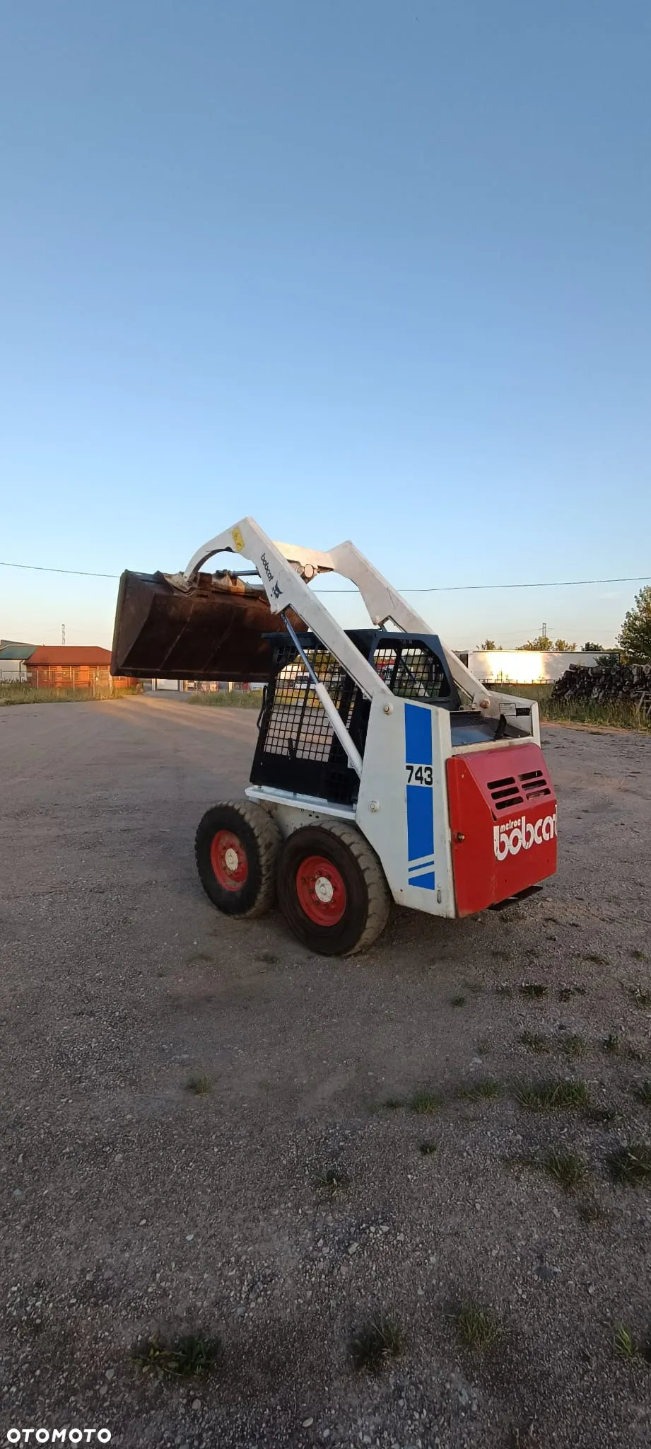 Bobcat - 6