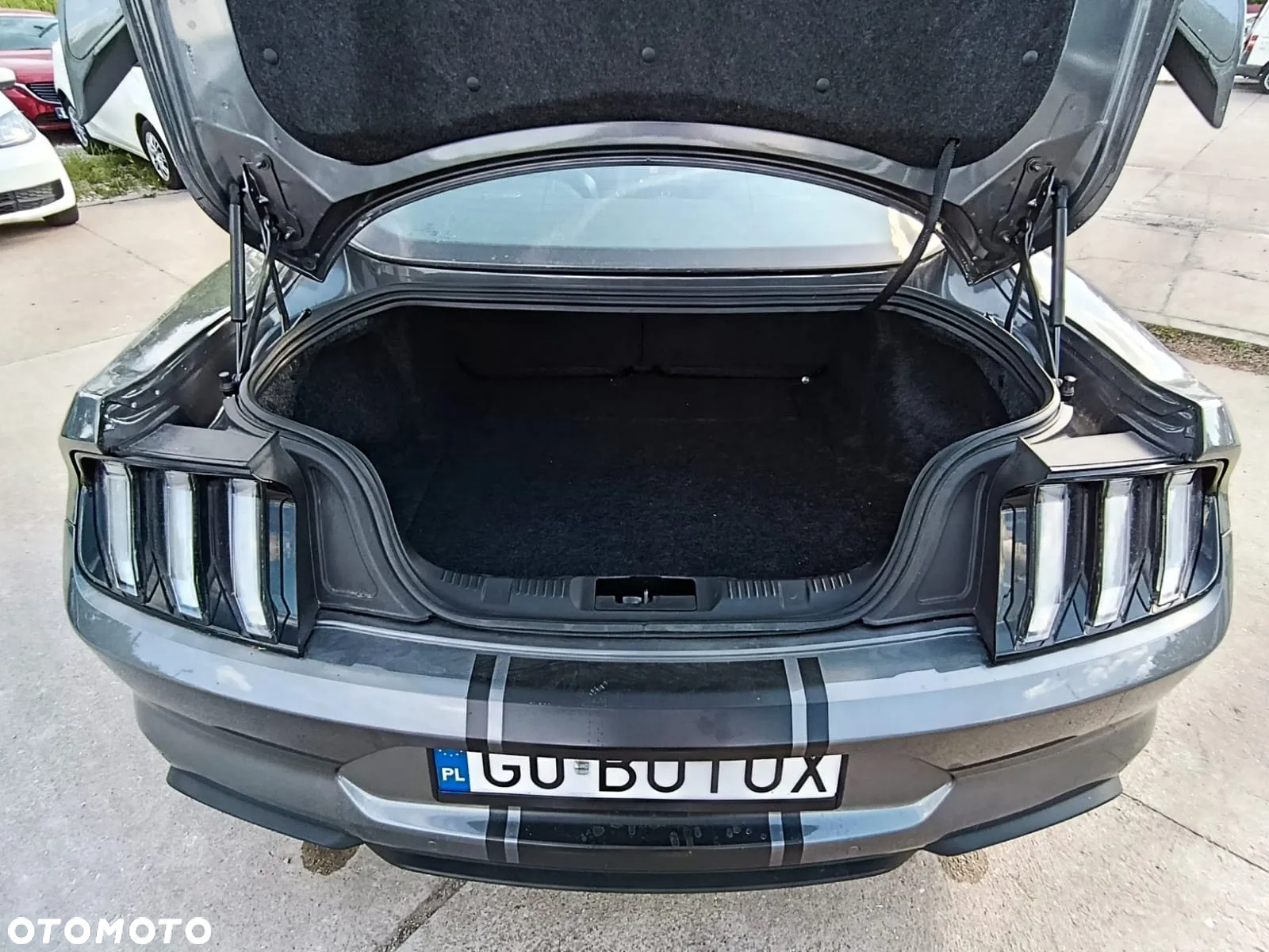 Ford Mustang - 23