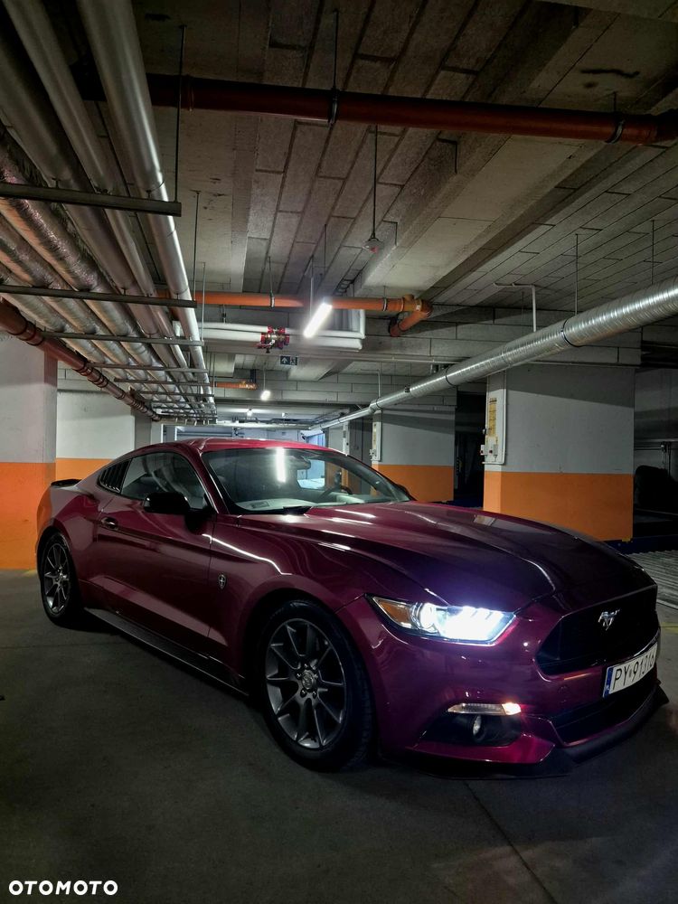 Ford Mustang 2.3 EcoBoost - 6