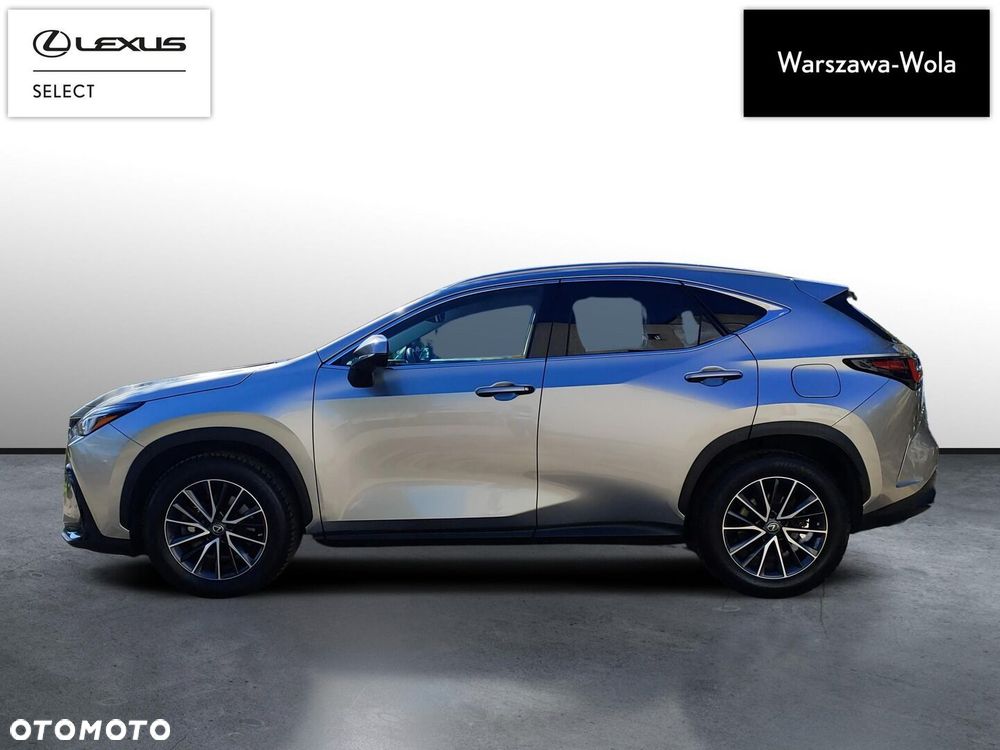Lexus NX 450h+ Prestige AWD - 4