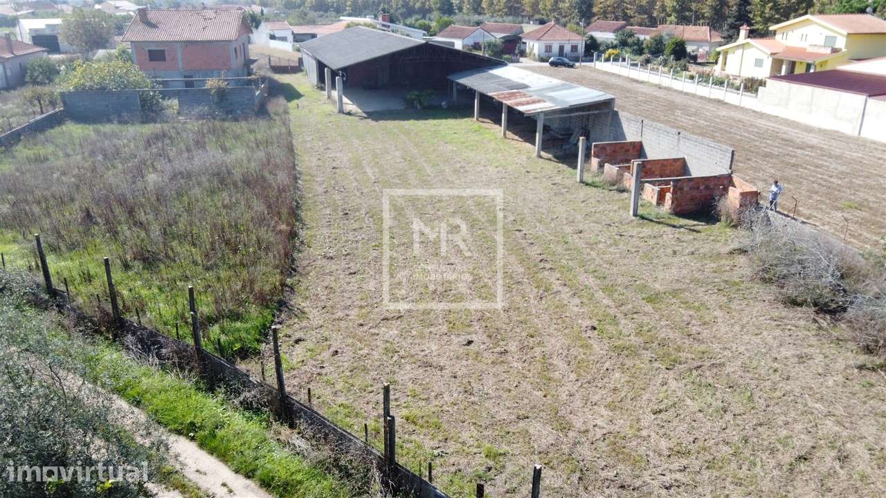 Armazém Venda - Grande imagem: 2/21