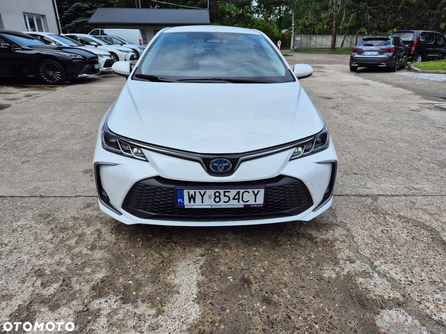 Toyota Corolla - 6