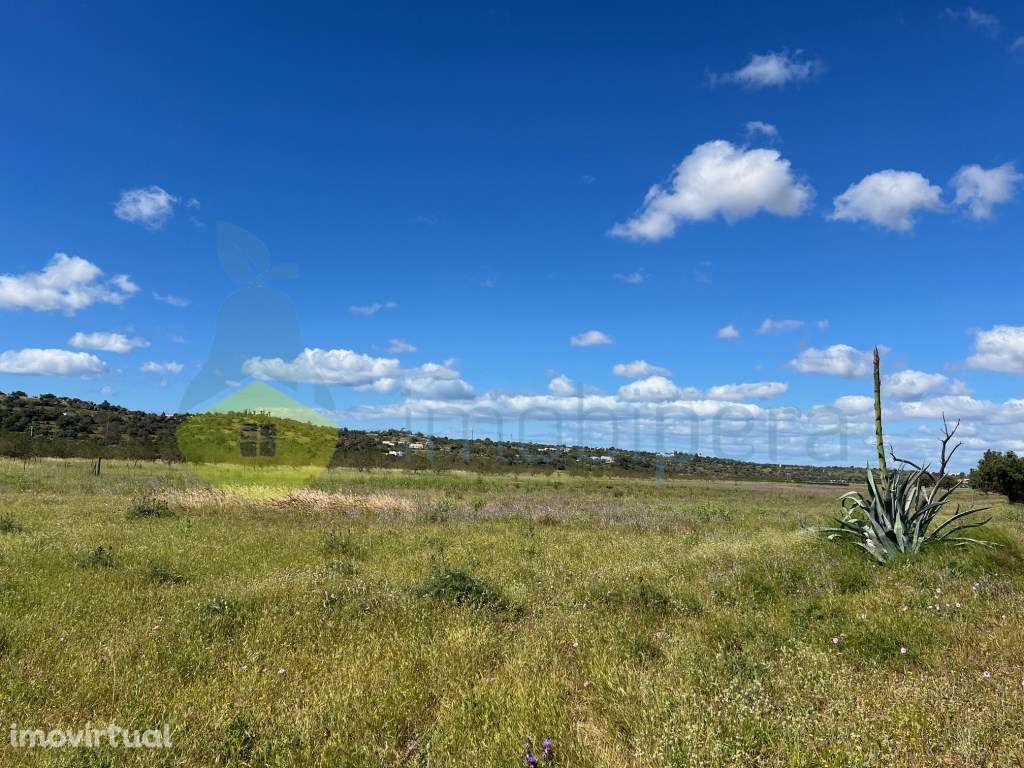 TERREO RÚSTICO PLANO NA VÁRZEA DE TUNES IDEAL PARA PAINEIS SOLARES - Grande imagem: 2/11