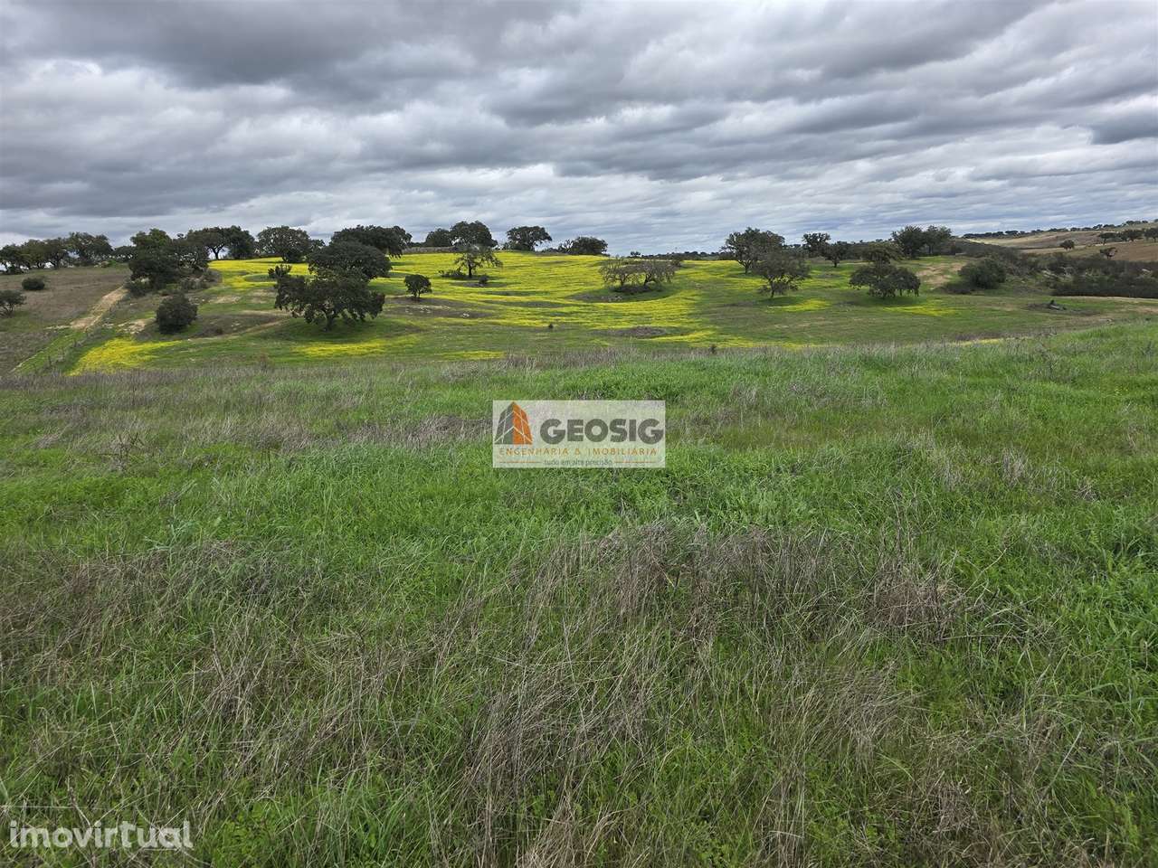 Terreno Rústico  Venda em Castro Verde e Casével,Castro Verde - Grande imagem: 2/15