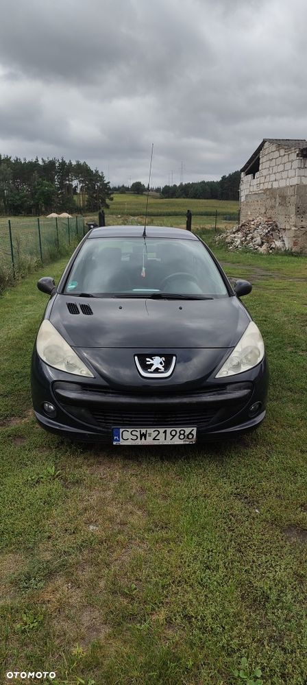 Peugeot 206 plus - 1