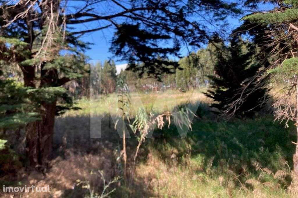 Oportunidade Única: Terreno Industrial de 2,4 ha com Localização Premi - Grande imagem: 4/9