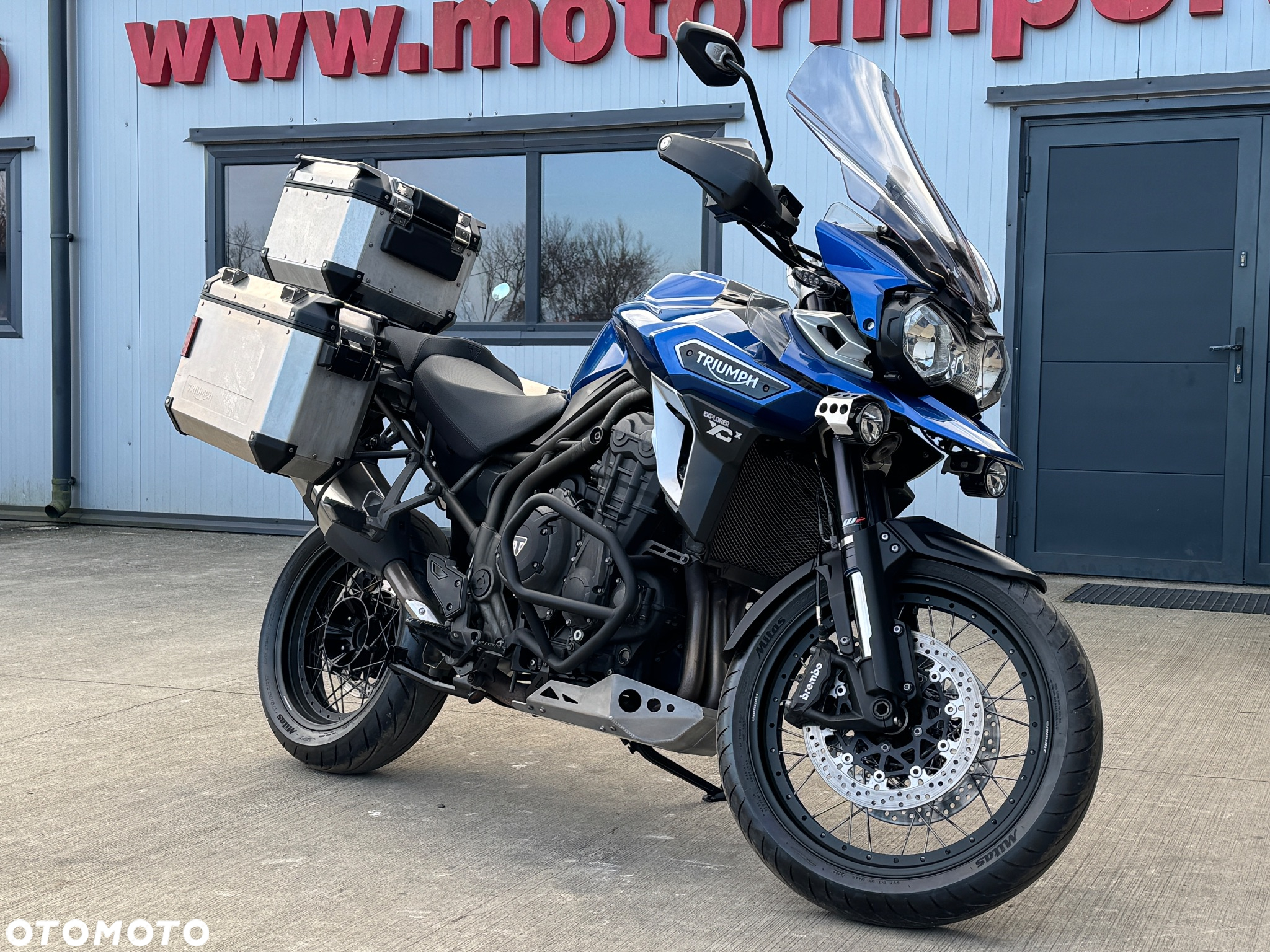 Triumph Tiger - 2