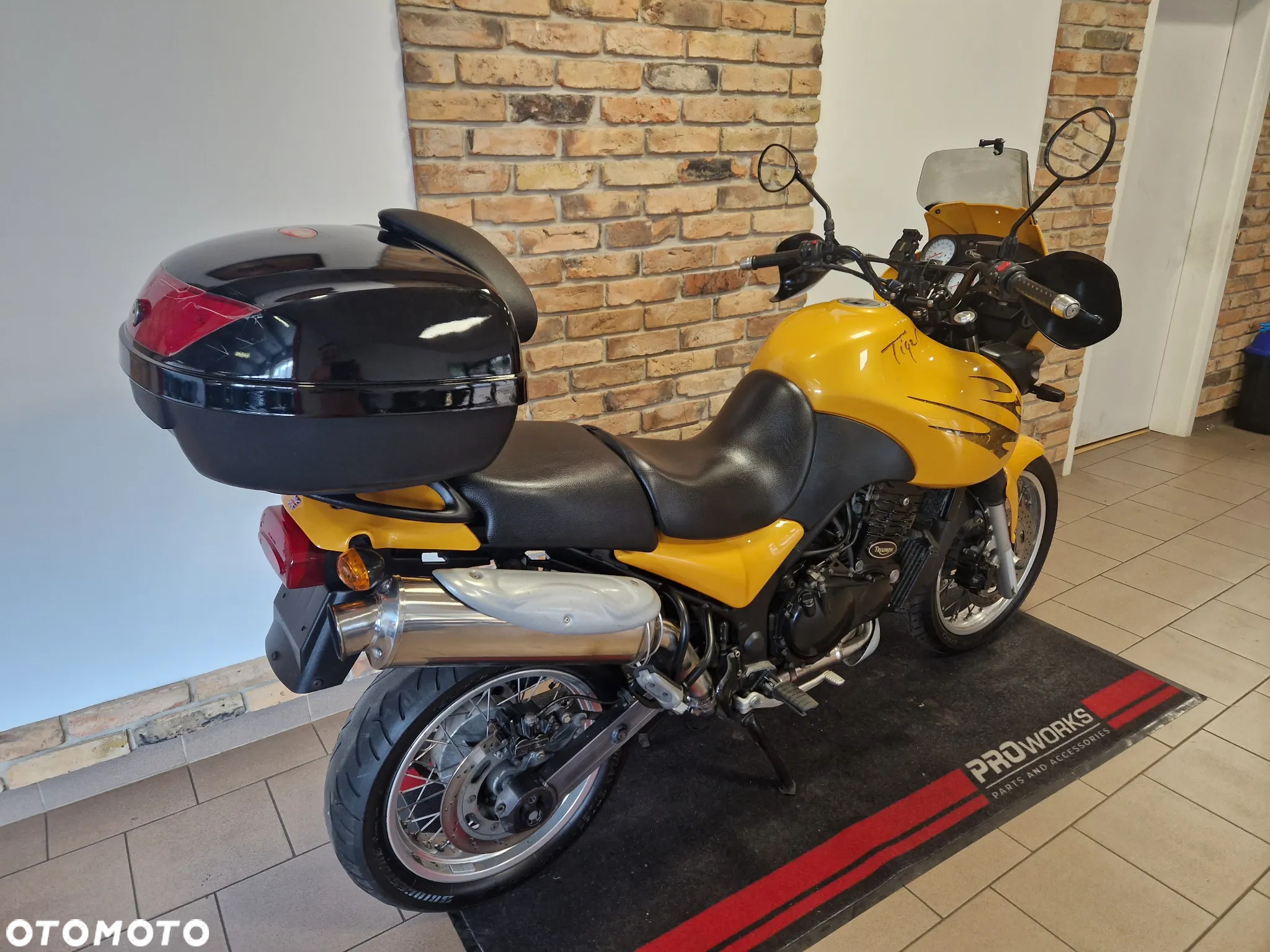 Triumph Tiger