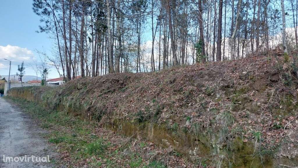 Lote Construção - Fiscal - Grande imagem: 3/8