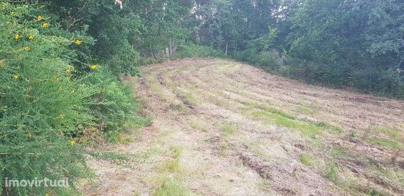 Terreno/6000m2/ Parte dele com licença de construção - Grande imagem: 2/10