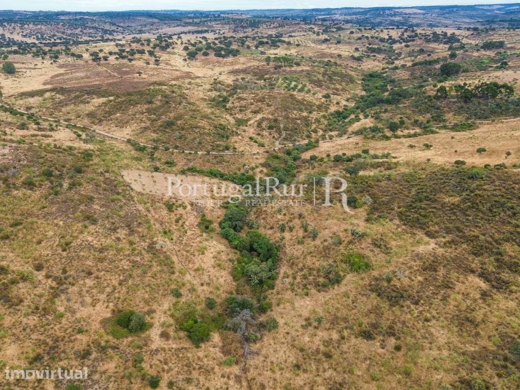 Propriedade agroflorestal com 39 hectares em Idanha-a-Nova - Grande imagem: 4/12