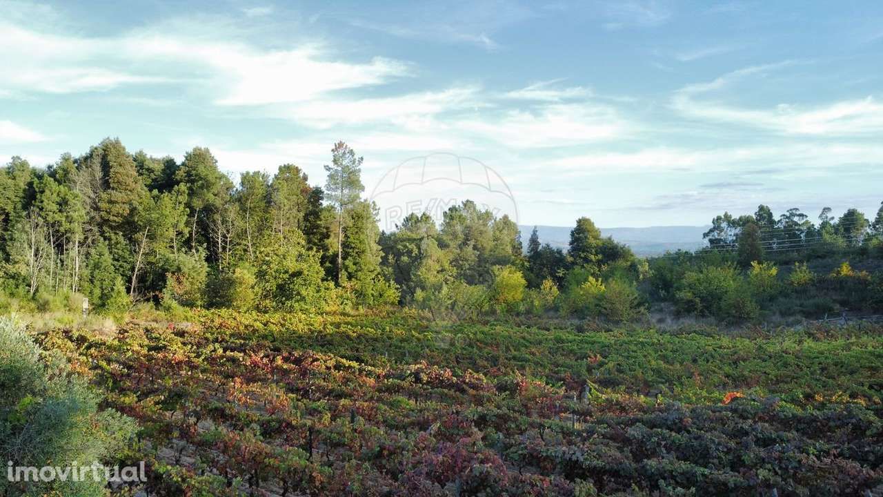 Terreno  para venda - Grande imagem: 5/12