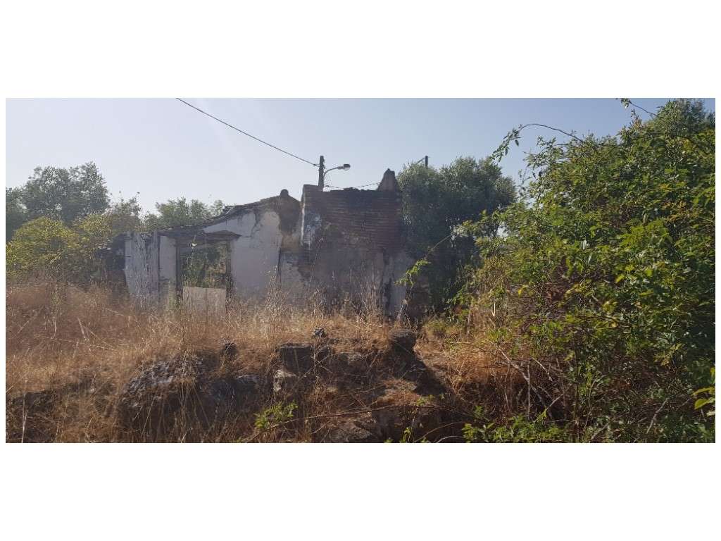 TERRENO MISTO (c/ ruína) - Grande imagem: 5/17