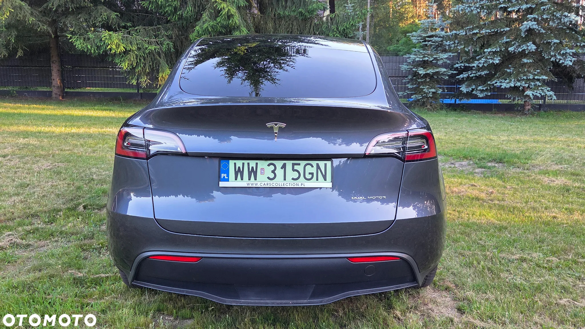 Tesla Y Model Long Range Dual Motor AWD - 6