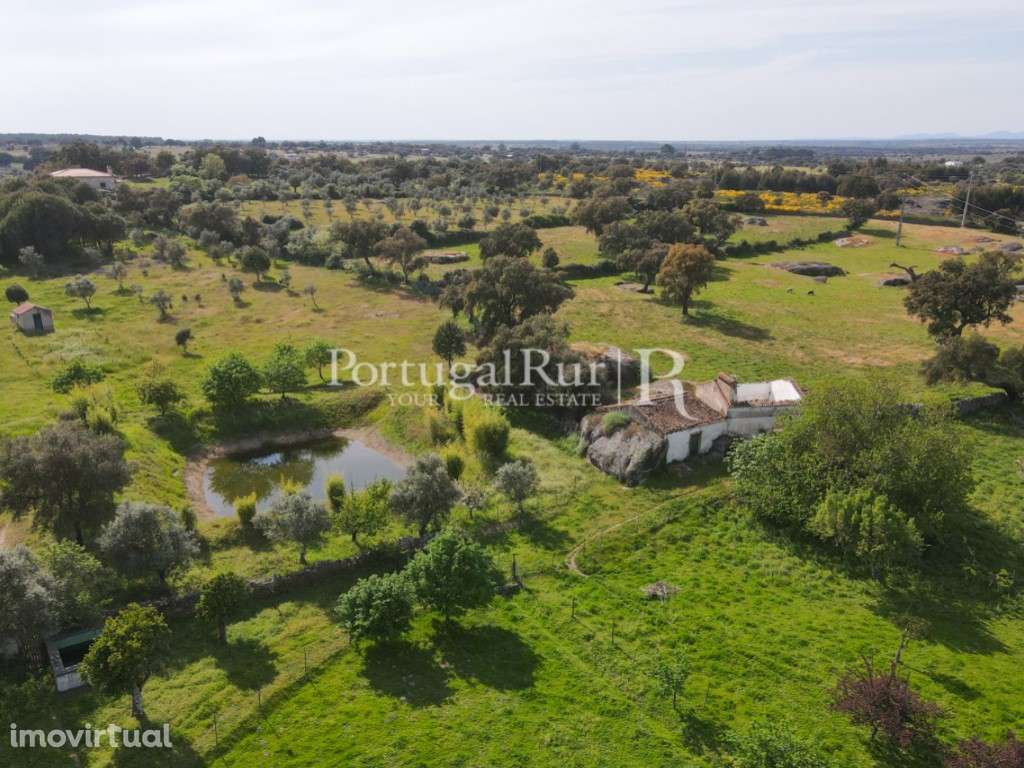 Quinta com cerca de 49.350 m2 - Grande imagem: 4/39