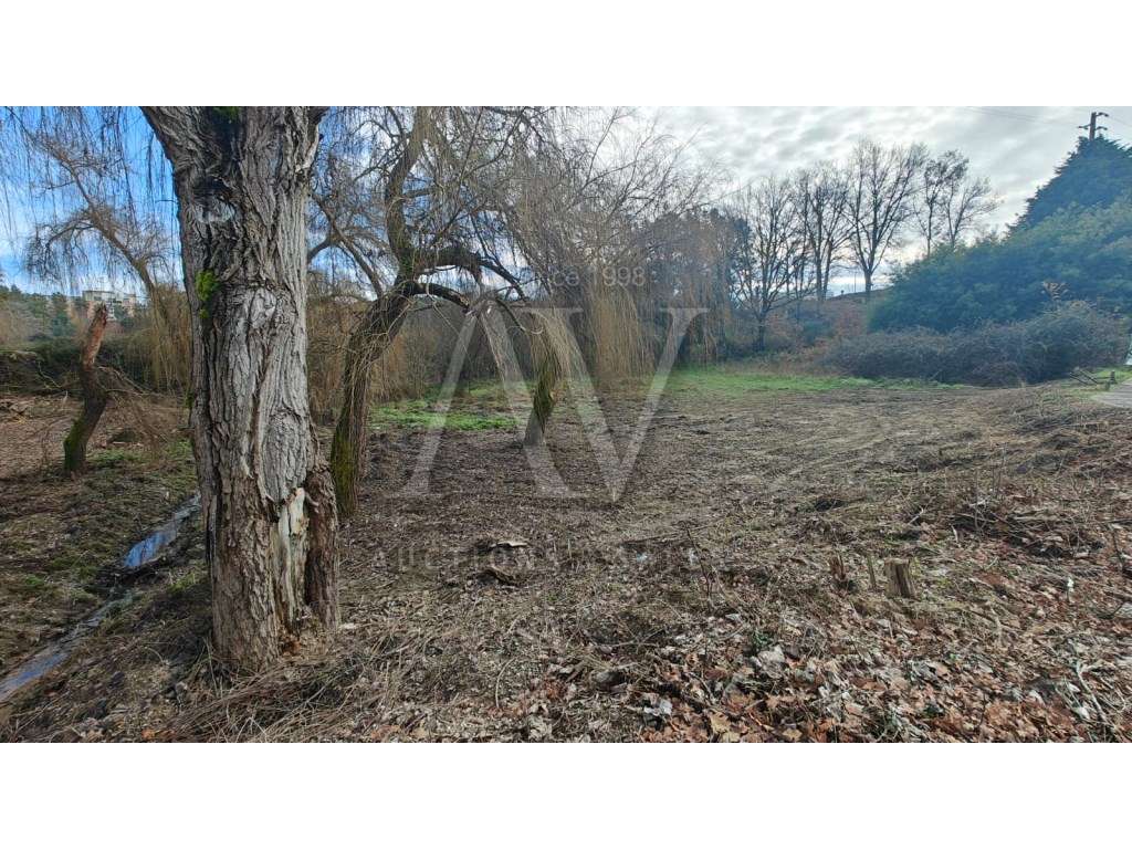 Terreno para construção - SANTA COMBA DÃO | LEILÃO ELETRÓNICO | FIM... - Grande imagem: 4/7