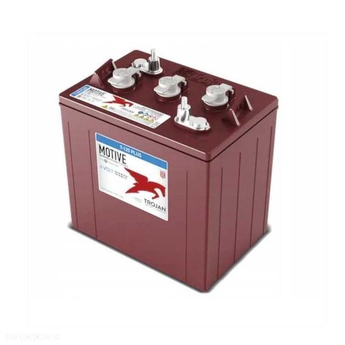 Akumulator 225Ah  Trojan T-105 T105 6V melex jlg genie dosta Gratis