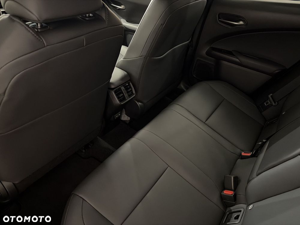 Lexus UX 250h GPF F Sport Design 2WD - 10