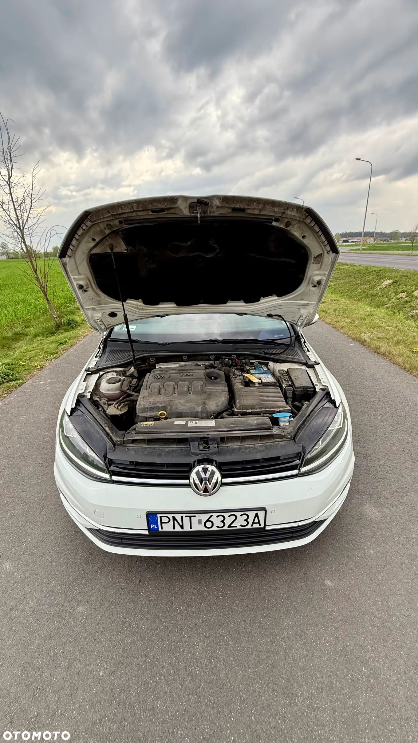 Volkswagen Golf - 10