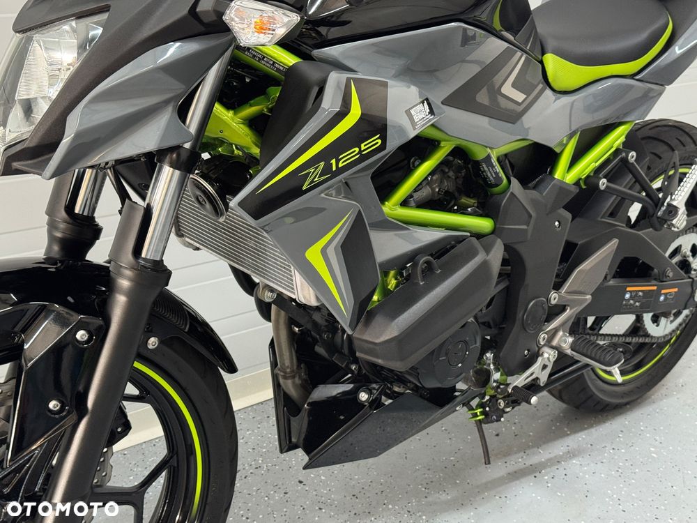Kawasaki Z - 31