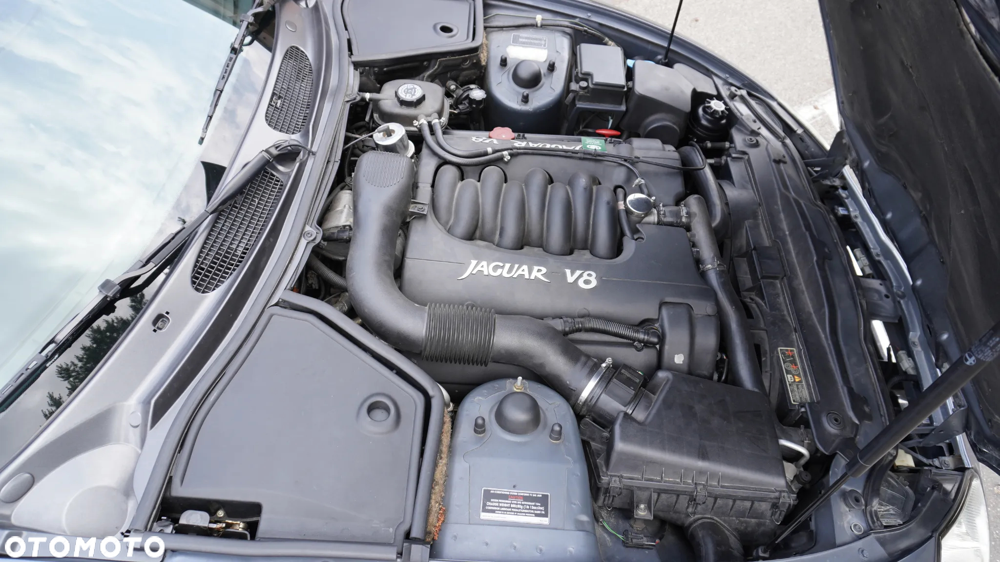 Jaguar XK8 4.0 - 14