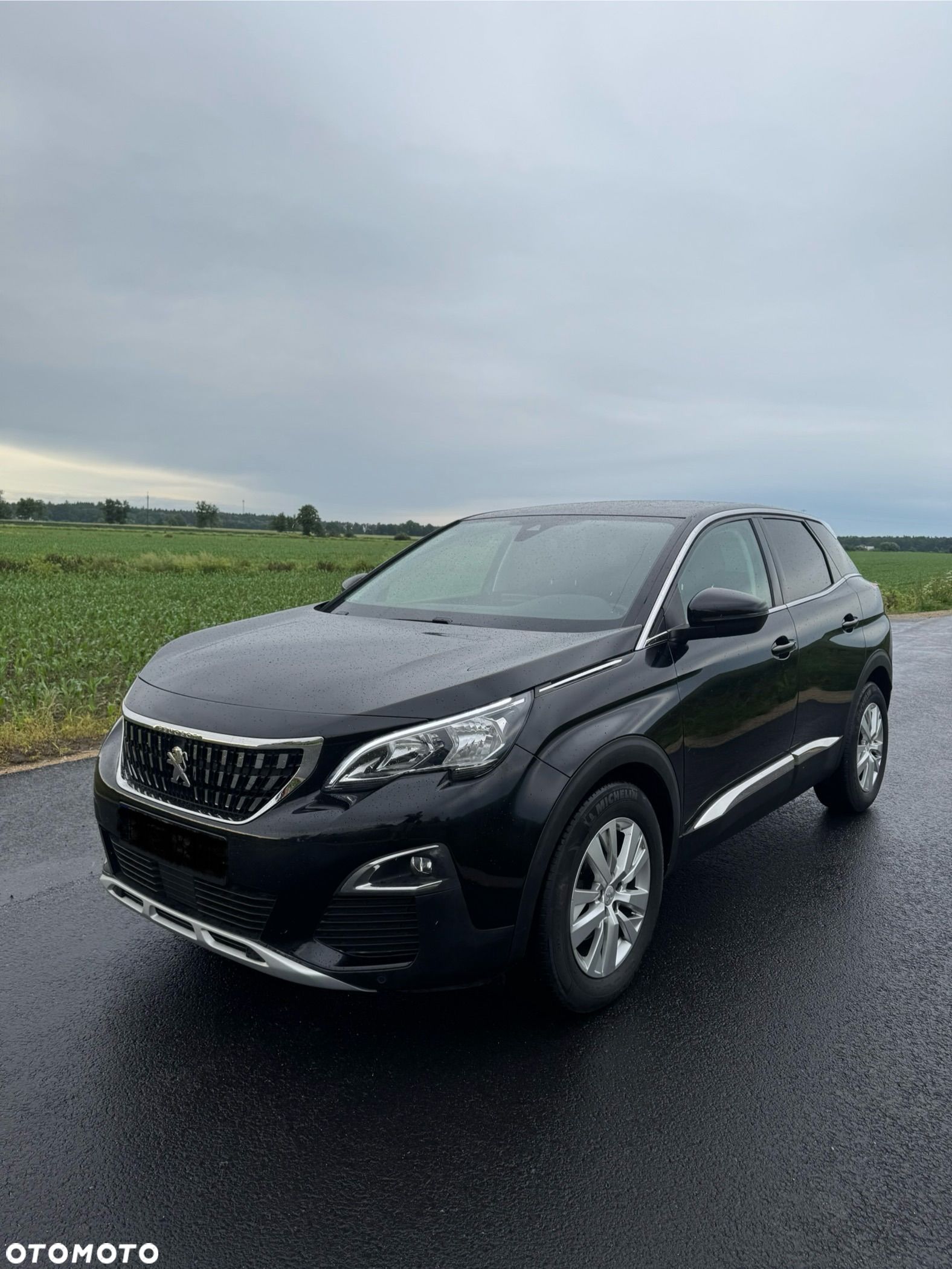 Peugeot 3008 - 1
