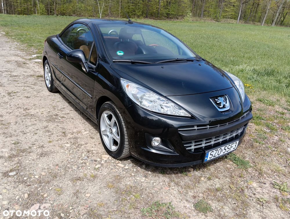 Peugeot 207 - 10