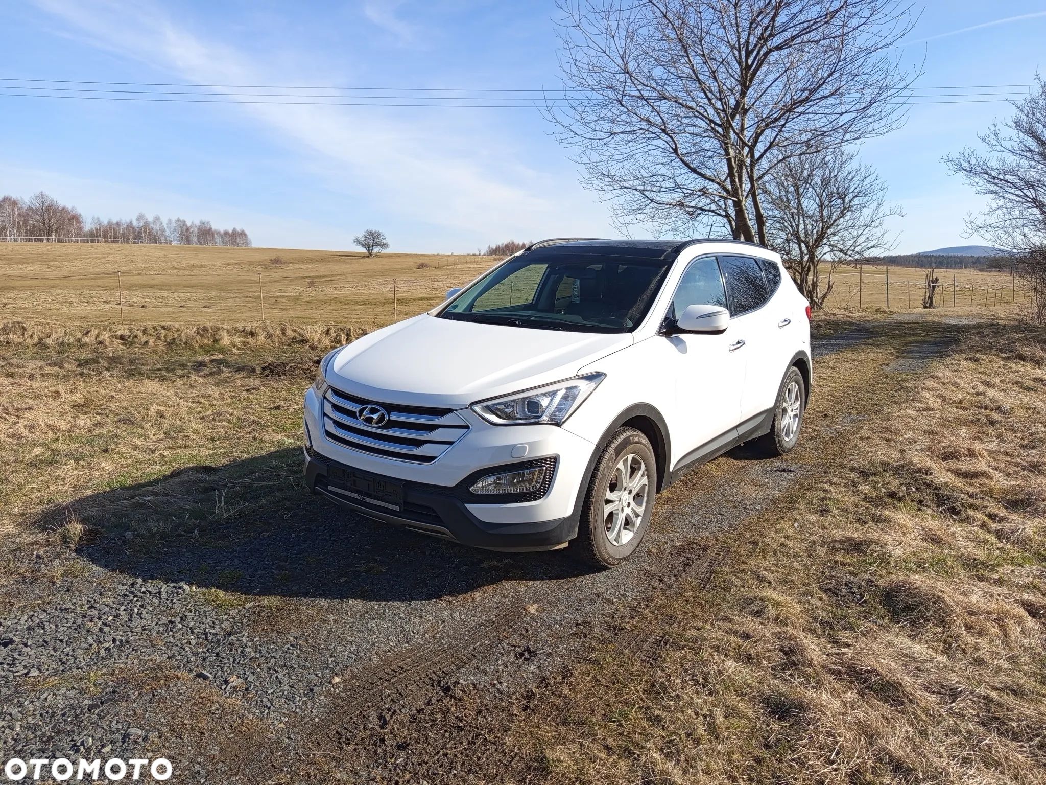 Hyundai Santa Fe 2.2 CRDi 2WD Style - 1