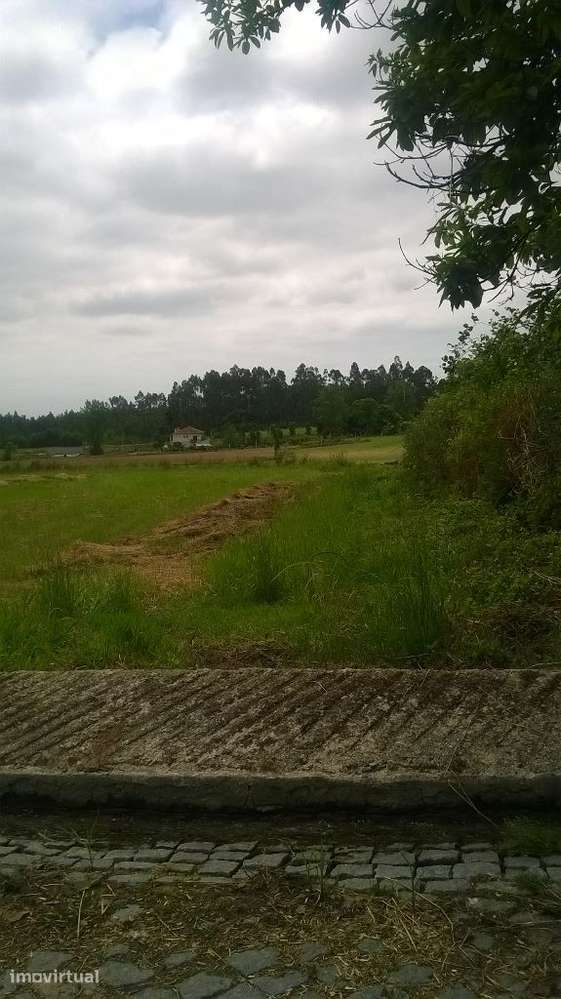 Terreno com 2.000m2, ótimo para estaleiro. - Grande imagem: 2/3