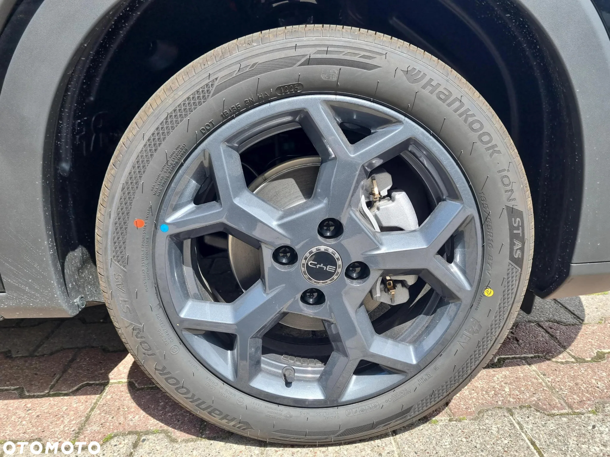 BYD Dolphin Surf - 18