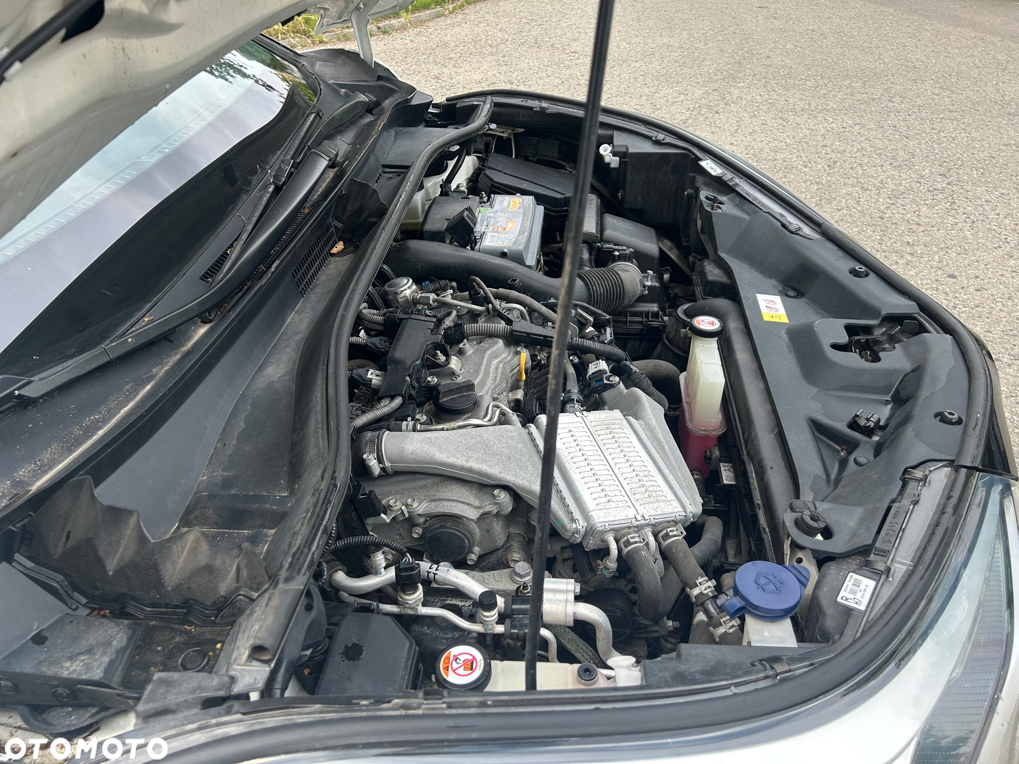 Toyota C-HR 1.2 T Dynamic - 7