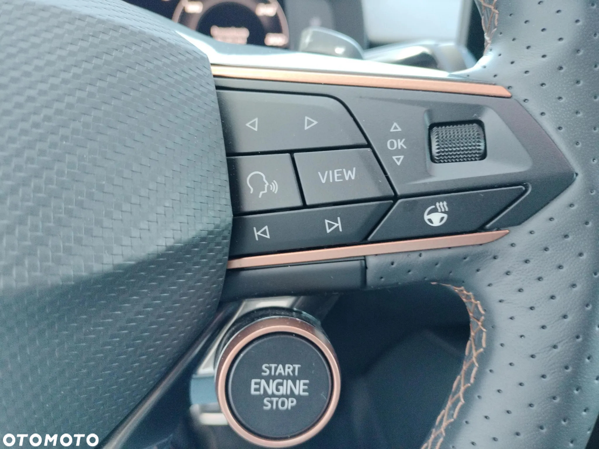 Cupra Terramar 2.0 TSI 4Drive VZ DSG - 26
